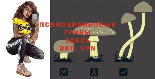 мяу мяу мука Богданович