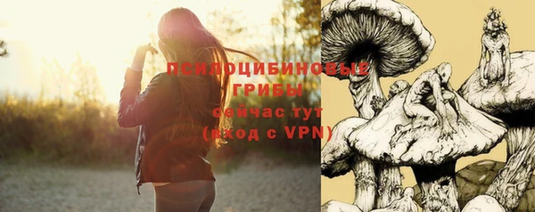 не бодяженный Богородск