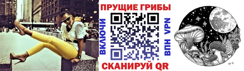 цены   Северск  Галлюциногенные грибы GOLDEN TEACHER 